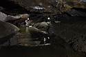 "Long Pool" - main link