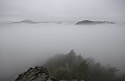 edo - hlavn odkaz
