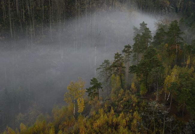 In the gorge - smaller format