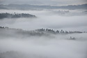 Linie - hlavn odkaz