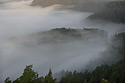 Shades - main link