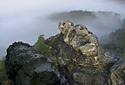 On the rock - main link