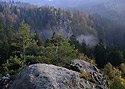 View back - main link