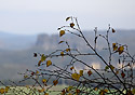 Feeling of "Schrammsteine" - main link