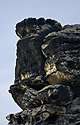 The top of "Hunskirche" - main link