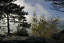 Non-view - main link