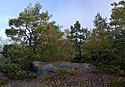 On plateau - main link