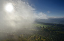 Torrent of fog - main link