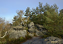 On plateau - main link