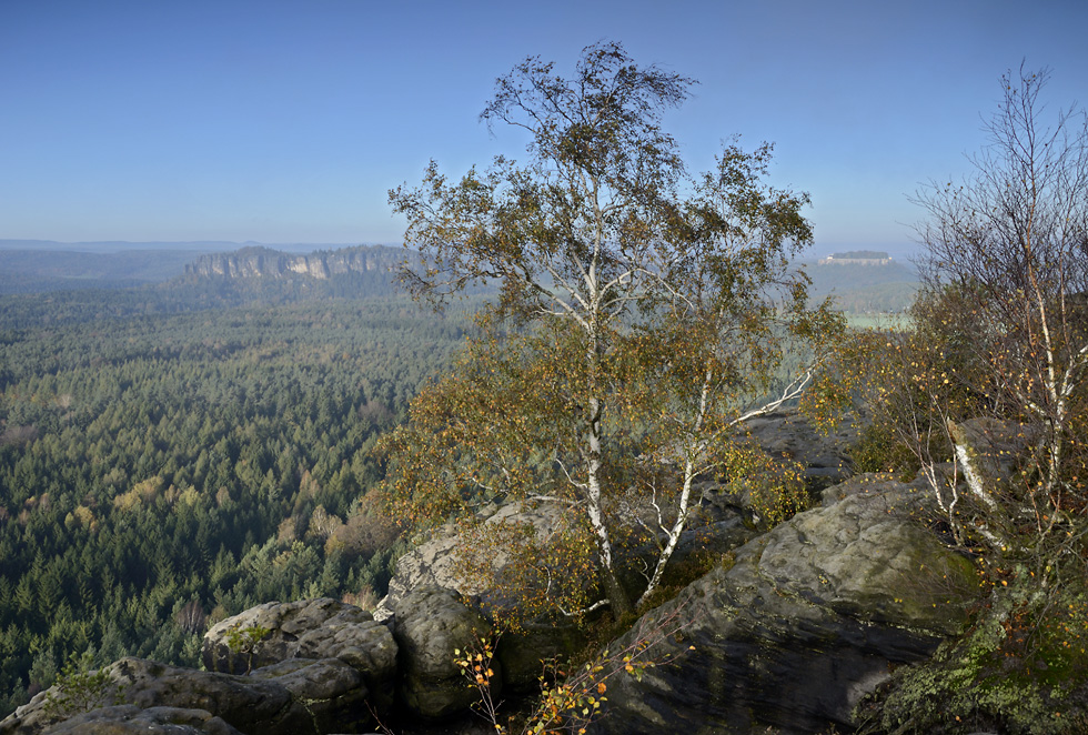 View to west - larger format