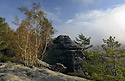 On "Gohrisch" - main link