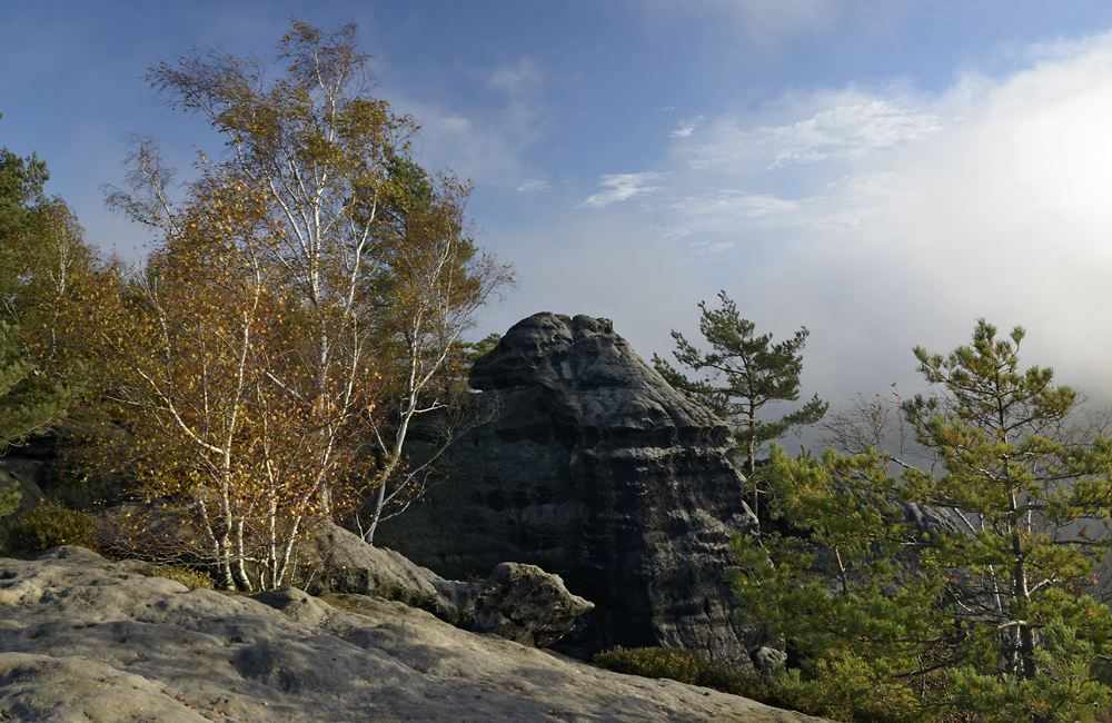 On "Gohrisch" - larger format