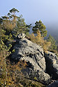 On "Gohrisch" - main link