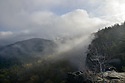 On "Gohrisch" - main link