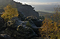 On "Gohrisch" - main link