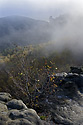 On "Gohrisch" - main link