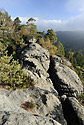 On "Gohrisch" - main link