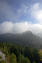 "Papststein" - main link