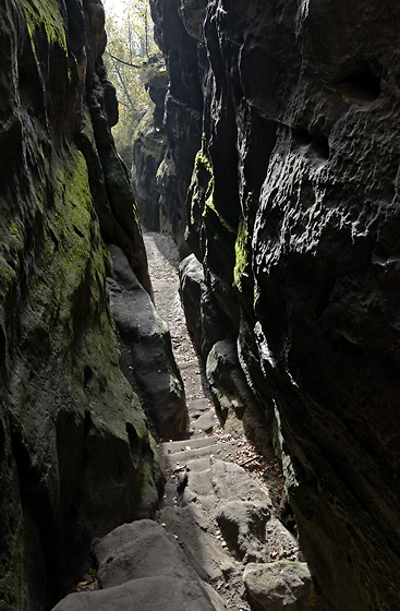 Path down - smaller format
