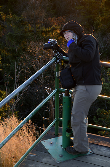 Landscape hunter - smaller format