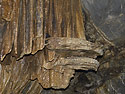 Dripstone - main link