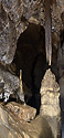 Dripstones - main link