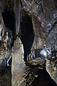 In the cave - main link