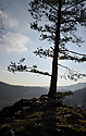 On "Zvole Cone" - main link