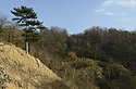On "Zvole Cone" - main link