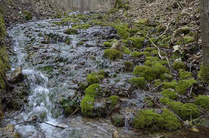 Travertin cascades - smaller format