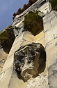 Niches - main link