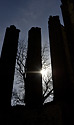 Fingers - main link