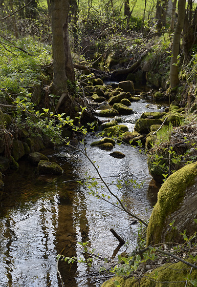 "Machov Creek" - smaller format