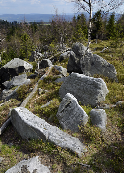 On the top of "Bor" - smaller format
