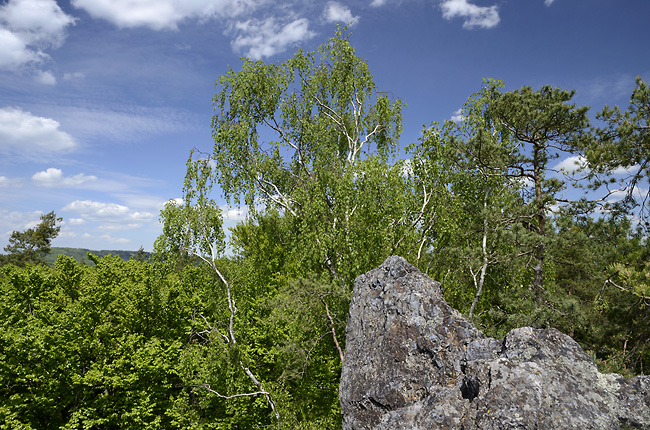 Na Vran skle - men formt