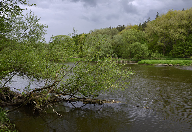 "Berounka" river - smaller format