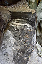 Layers - main link