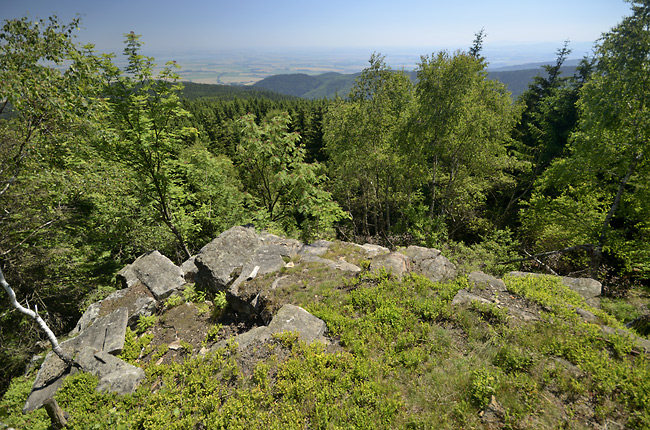 On the "White Rock" - smaller format