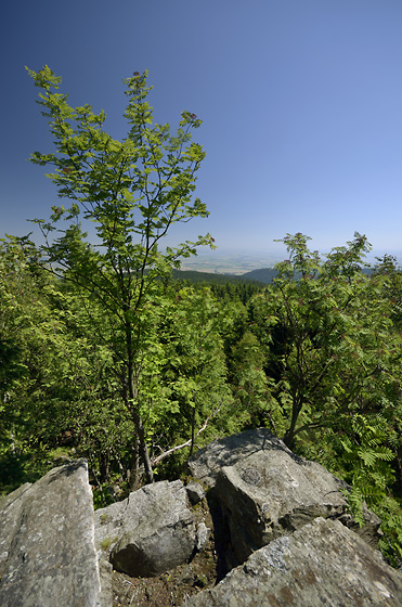 On the "White Rock" - smaller format