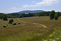 On the ridge - main link