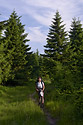 On the ridge - main link