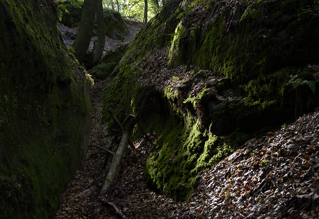 Cesta ve skalch - men formt