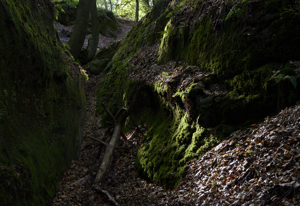 Cesta ve skalch - vt formt