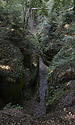 Path in rocks - main link