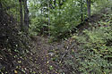 On "Ingratitude Castle" - main link