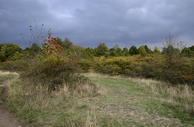 On the plateau of "Monarch Hill" - smaller format