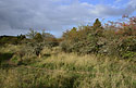 On the plateau of "Monarch Hill" - main link