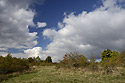 On the plateau of "Monarch Hill" - main link