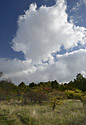 On the plateau of "Monarch Hill" - main link