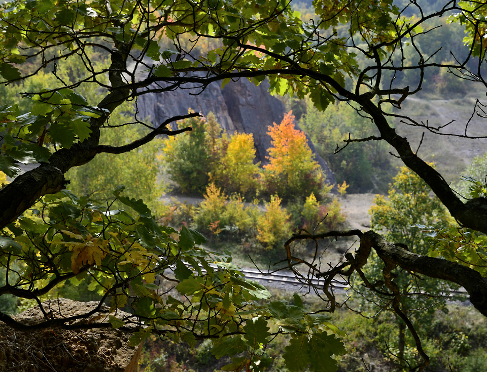 Through branches - larger format